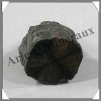 CHIASTOLITE - 47 grammes - 44x24 mm - C009