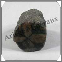 CHIASTOLITE - 42 grammes - 36x26 mm - C011