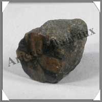 CHIASTOLITE - 42 grammes - 36x26 mm - C011