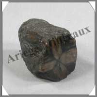 CHIASTOLITE - 42 grammes - 36x26 mm - C011