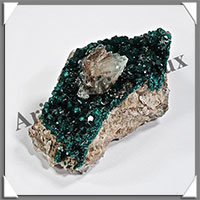DIOPTASE Cristallise - 138 grammes - 70x50x45 mm - M002