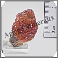 GRENAT SPESSARTITE - 19 grammes - 35x20x18 mm - M004