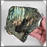 LABRADORITE - Extra - 2 Faces Polies - 140x125x10 mm - 288 grammes - Y005