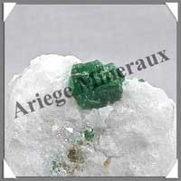 PARGASITE - 110 grammes - 40x40x35 mm - M001