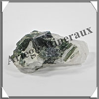 TOURMALINE VERTE sur QUARTZ - 22 grammes - 41x25x20 mm - M002