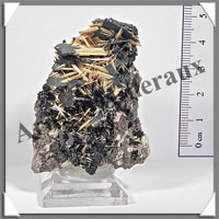 RUTILE sur HEMATITE - 46 grammes - 65x43x20 mm - M015