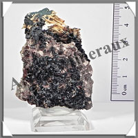 RUTILE sur HEMATITE - 46 grammes - 65x43x20 mm - M015