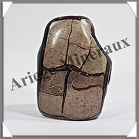 SEPTARIA - Druse - 320 grammes - 80x60x40 mm - Y001