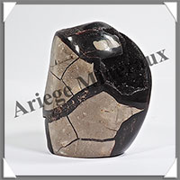 SEPTARIA - Druse - 600 grammes - 95x75x50 mm - Y002