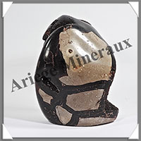 SEPTARIA - Druse - 600 grammes - 95x75x50 mm - Y002