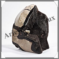 SEPTARIA - Druse - 800 grammes - 110x70x60 mm - Y003