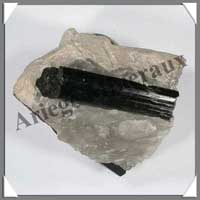 TOURMALINE NOIRE sur QUARTZ - 840 grammes - 85x85 mm - M005