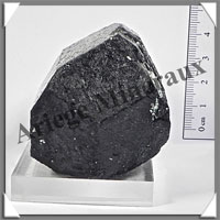 TOURMALINE Noire BITERMINEE - 292 grammes - 55x50x50 mm - M011
