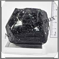 TOURMALINE Noire BITERMINEE - 292 grammes - 55x50x50 mm - M011