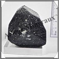TOURMALINE Noire BITERMINEE - 292 grammes - 55x50x50 mm - M011