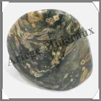 JASPE Orbiculaire - 255 gr - R011