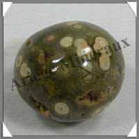 JASPE Orbiculaire - 44 gr - R102