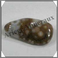 JASPE Orbiculaire - 56 gr - R106