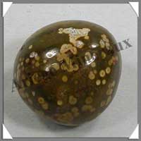 JASPE Orbiculaire - 54 gr - R107