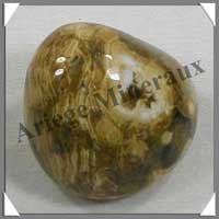 JASPE Orbiculaire - 58 gr - R110