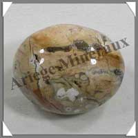 JASPE Orbiculaire - 100 gr - R206