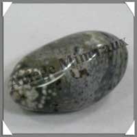 JASPE Orbiculaire - 73 gr - R208