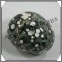 JASPE Orbiculaire - 97 gr - R209