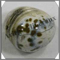 JASPE Orbiculaire - 78 gr - R214