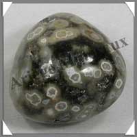 JASPE Orbiculaire - 71 gr - R218