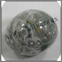 JASPE Orbiculaire - 150 gr - R305