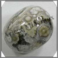 JASPE Orbiculaire - 181 gr - R311