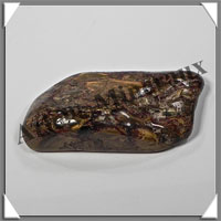 PIETERSITE - 21 grammes - 58x25x11 mm - C011