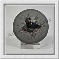 SEPTARIA (Barytine) - 395 gr - 75x70x35 mm - A003