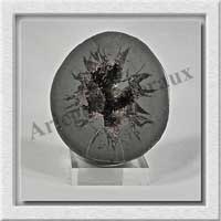 SEPTARIA (Barytine) - 315 gr - 70x63x35 mm - A004