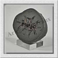 SEPTARIA (Barytine) - 170 gr - 65x52x27 mm - A006