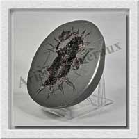 SEPTARIA (Barytine) - 475 gr - 90x75x35 mm - A008