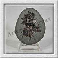 SEPTARIA (Barytine) - 320 gr - 85x68x30 mm - A009