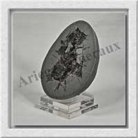 SEPTARIA (Barytine) - 320 gr - 85x68x30 mm - A009