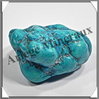 TURQUOISE (Vritable) - 58 grammes - 40x30x25 mm - P003