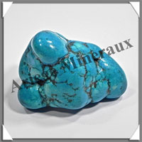 TURQUOISE (Vritable) - 64 grammes - 50x35x30 mm - P005