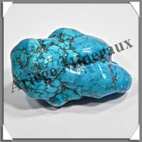 TURQUOISE (Vritable) - 51 grammes - 55x30x20 mm - P008