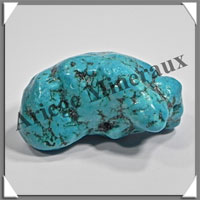 TURQUOISE (Vritable) - 49 grammes - 50x25x25 mm - P011