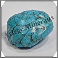 TURQUOISE (Vritable) - 40 grammes - 40x40x20 mm - P017