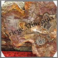 BOIS Fossilis - CONIFERE - 555x410x25 mm - 9600 grammes - R002