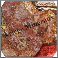 BOIS Fossilis - CONIFERE - 555x410x25 mm - 9600 grammes - R002