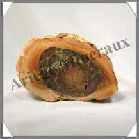 BOIS Fossilis - FOUGERE - 140x95x60 mm - 1030 grammes - M002