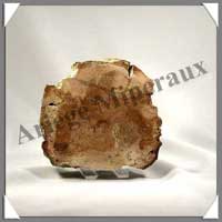 BOIS Fossilis - FOUGERE - 110x100x40 mm - 500 grammes - M005