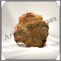 BOIS Fossilis - FOUGERE - 110x100x40 mm - 500 grammes - M005