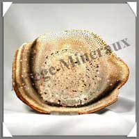 BOIS Fossilis - FOUGERE - 175x128x80 mm - 290 grammes - M012